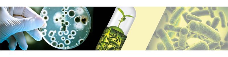 Microbial Pesticides